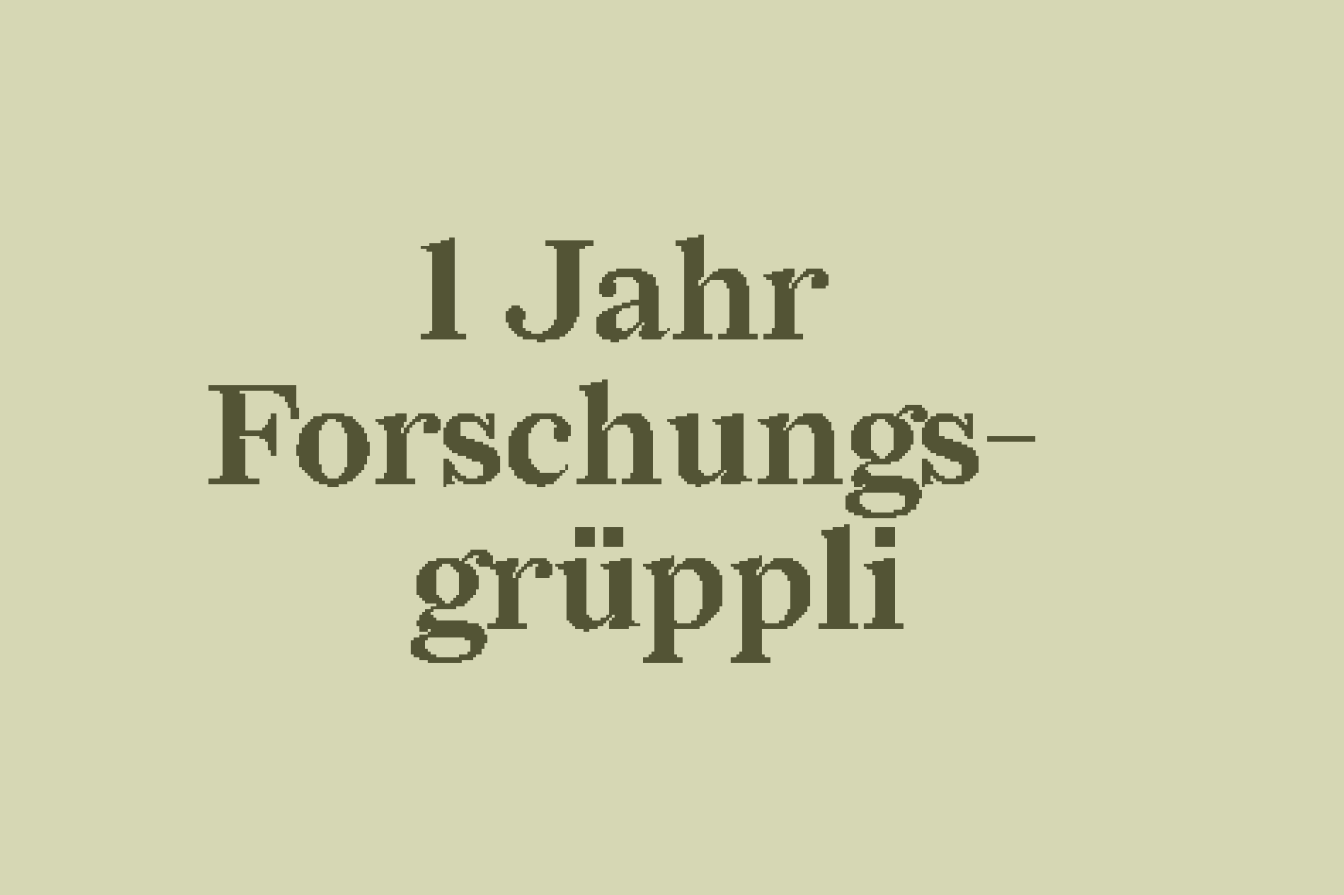 Rückblick auf ein Jahr «Forschungsgrüppli Solidarische Katastrophenpolitik»